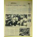 RISING STORM Alive Again At Andover (Arf! Arf! – AA007) USA 1983 numbered LP (Garage Rock, Psychedelic Rock)